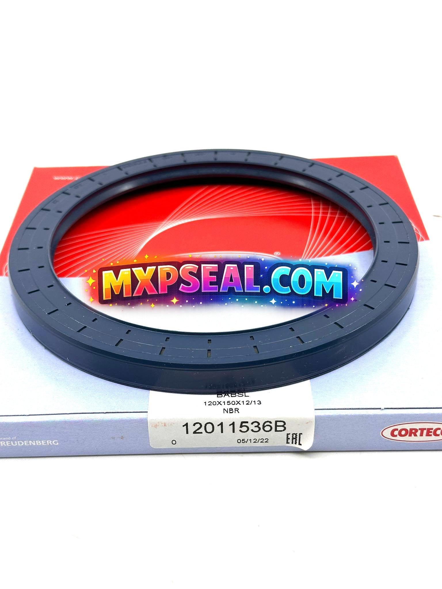 001181391 - OIL SEAL