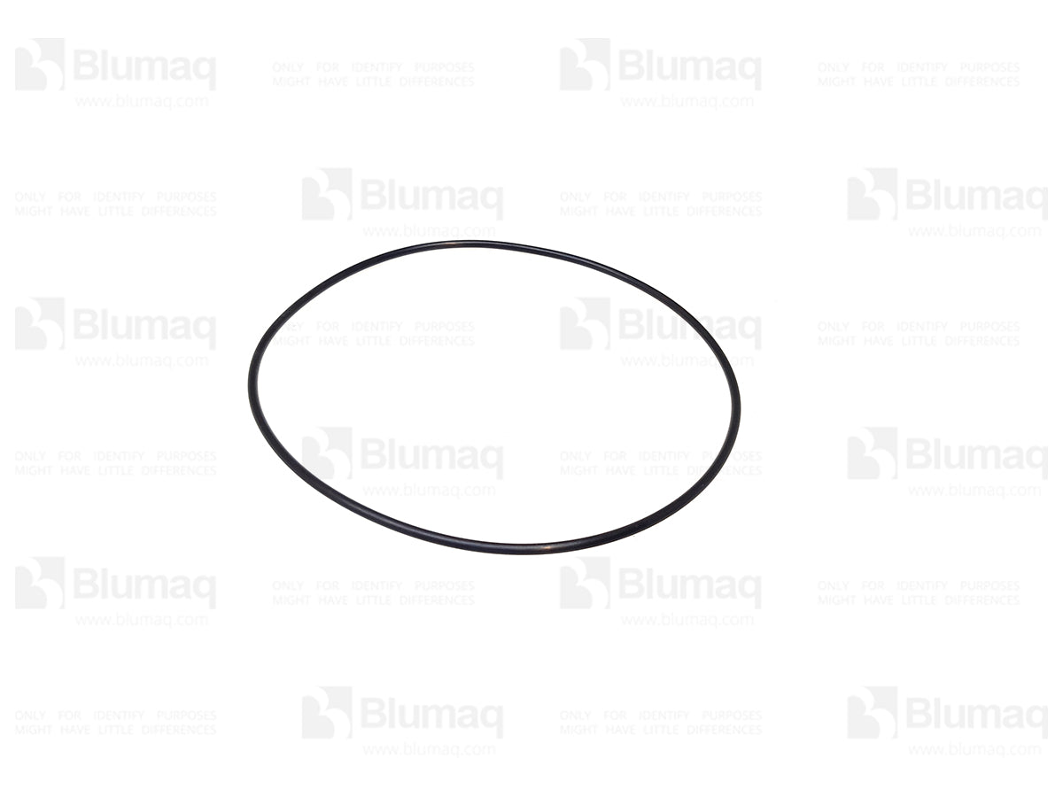 3206169 - ORING
