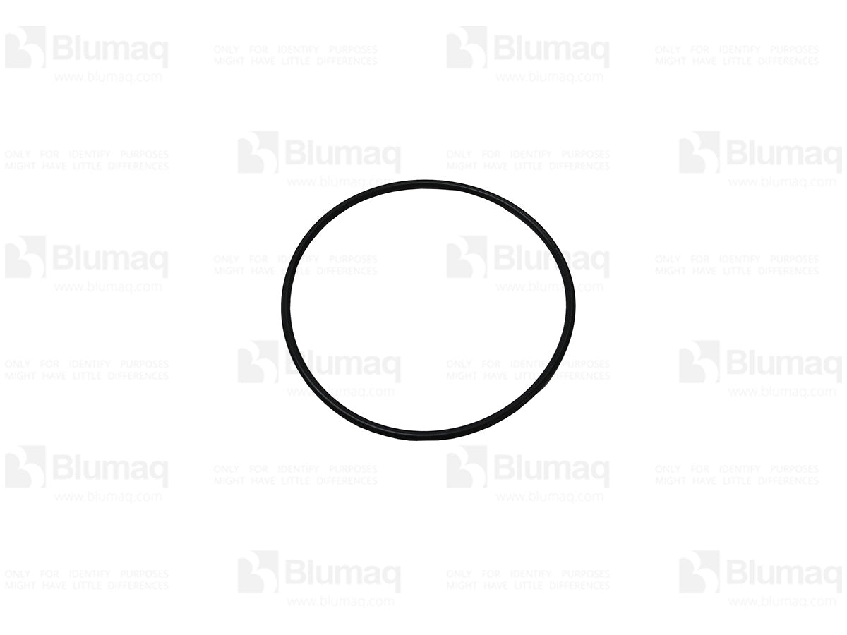 3297856 - ORING