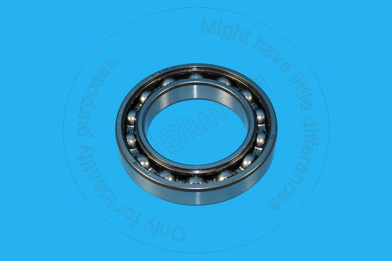 06000-06014 - BEARING