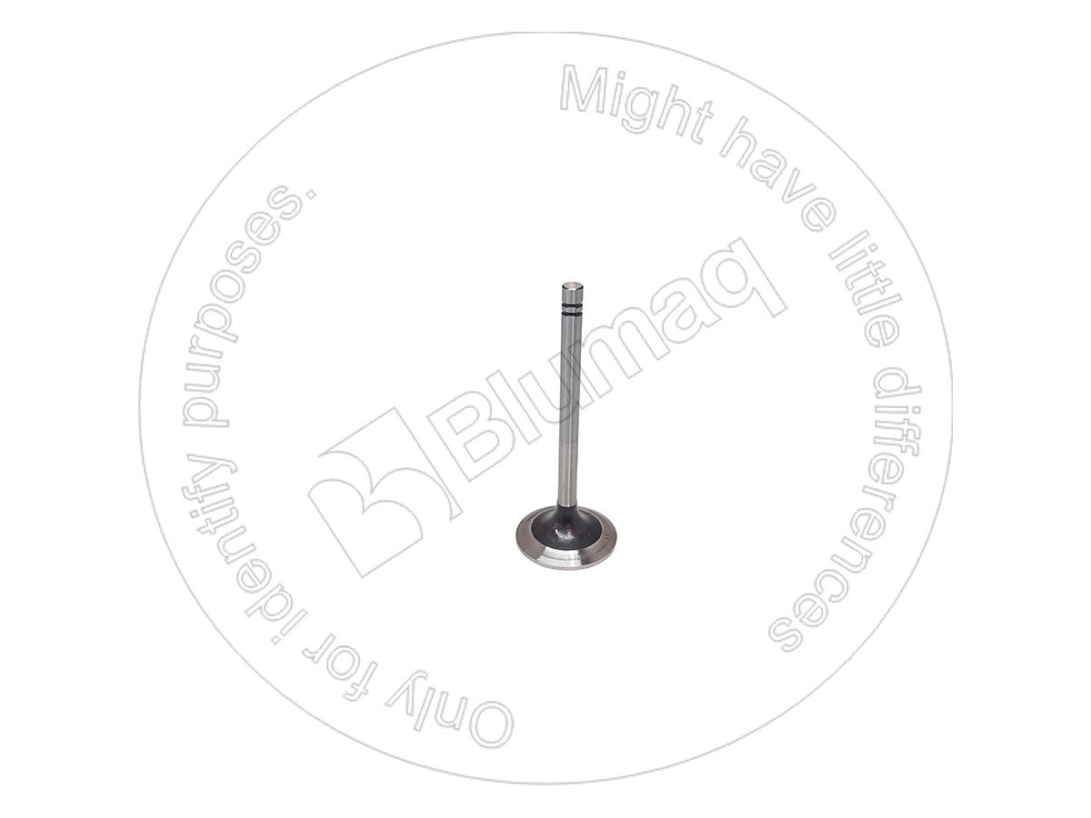 1007860 - INTAKE VALVE - MXPseal.com