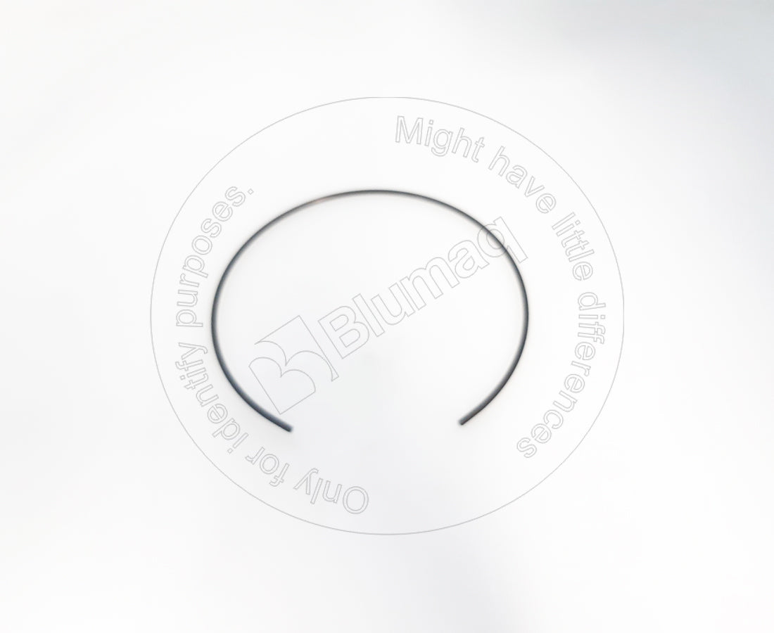 1020786 - RETAINING RING