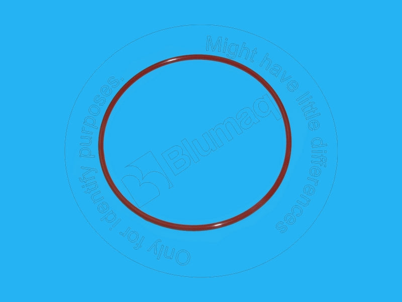 1102220 - SEAL RING LINER