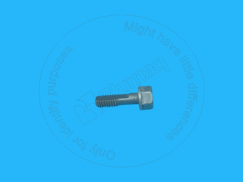 1118606 - BOLT