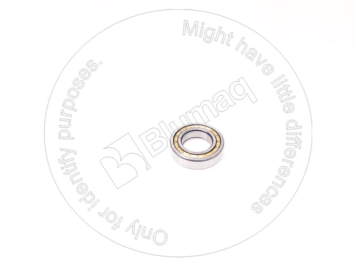 14640025 - ROLLER BEARING - MXPseal.com