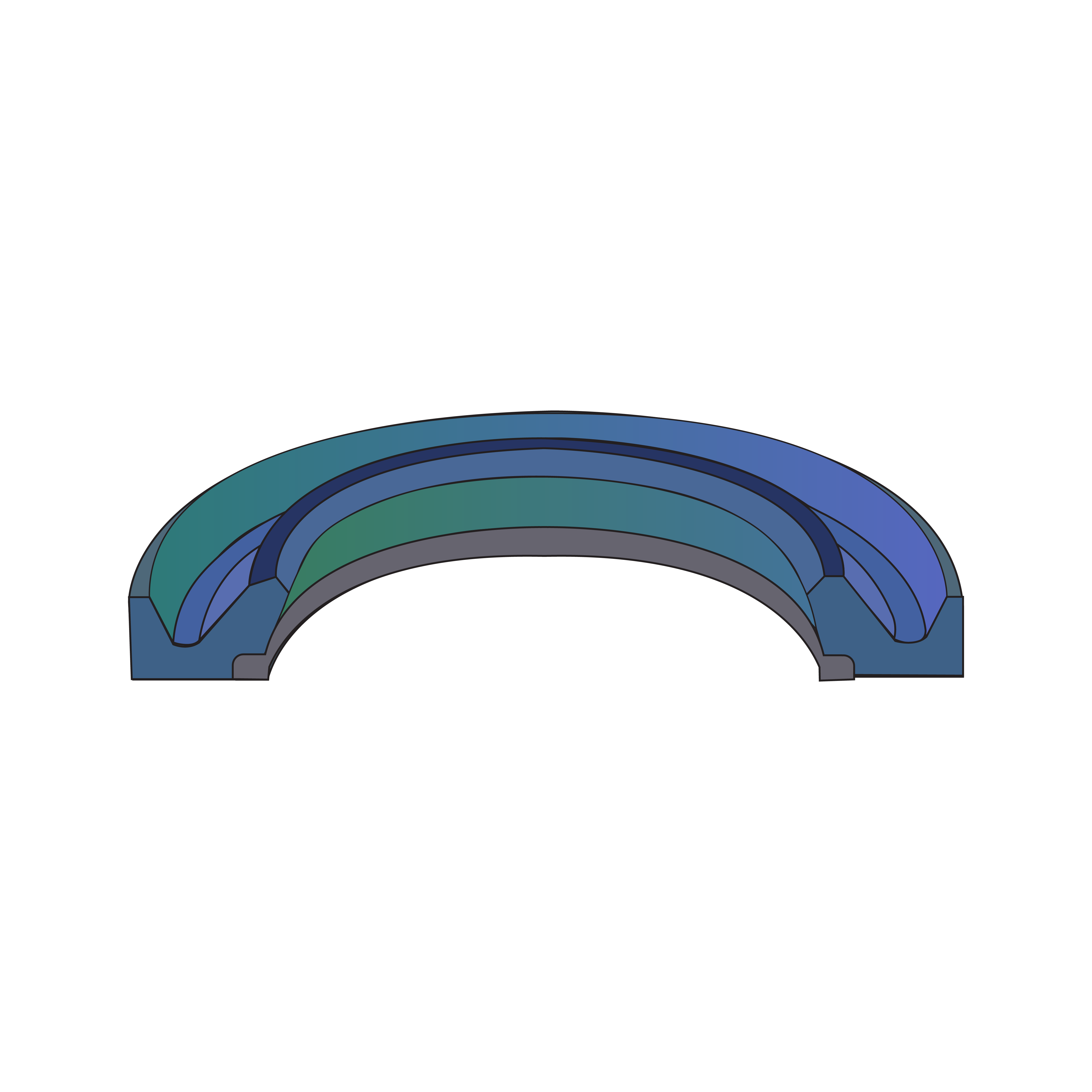1543000C1 - BUFFER SEAL