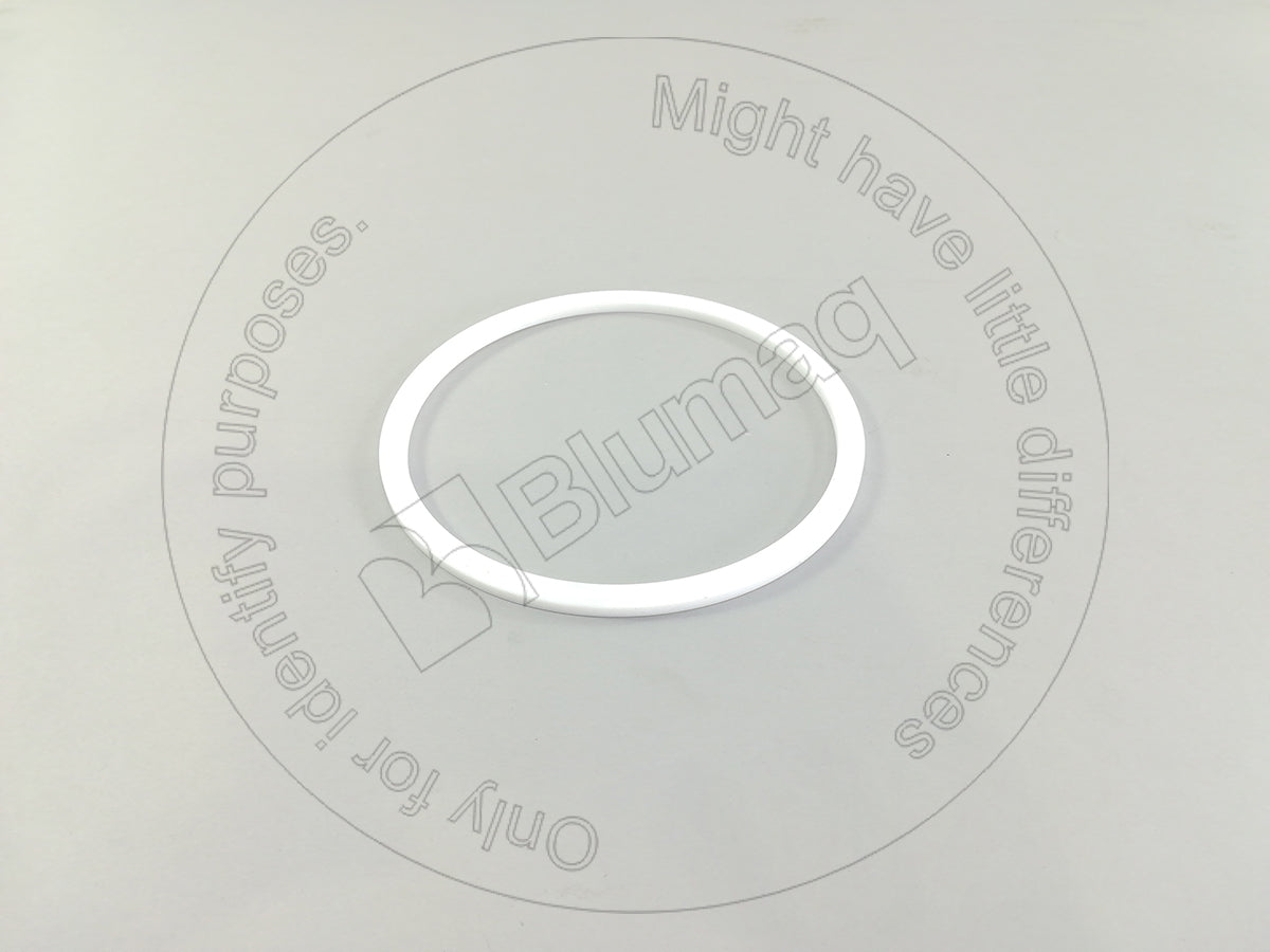 1731007 - BACK UP RING