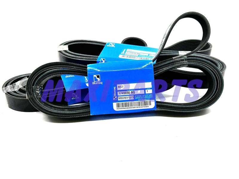 1749690 - VAN BELT - MXPseal.com