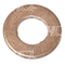 1G796-53620 - SEAL RING