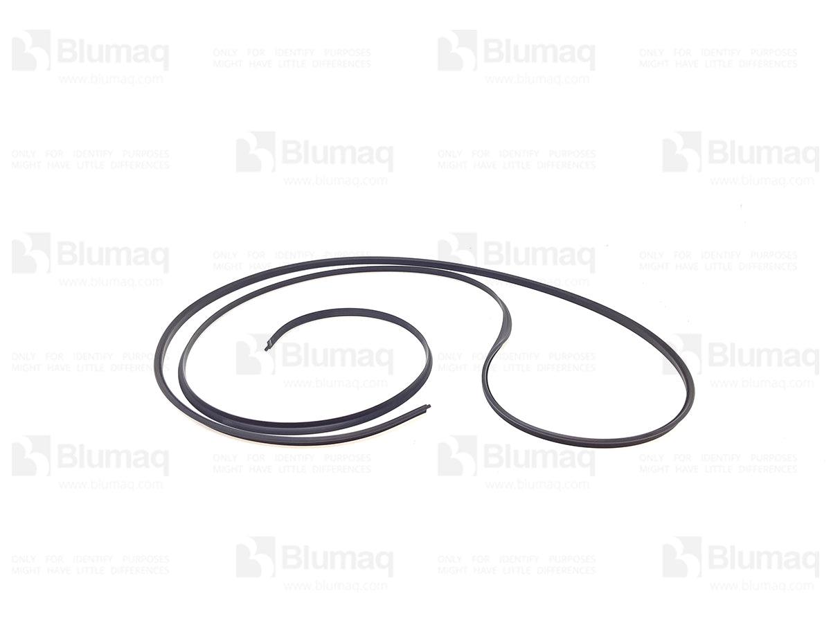 20Y-25-21311 - SEAL - MXPseal.com
