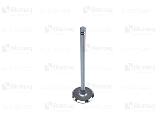 2255499 - EXHAUST VALVE