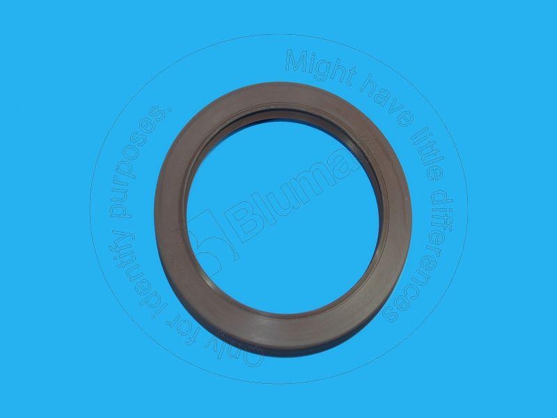 2352484 - OIL SEAL - MXPseal.com