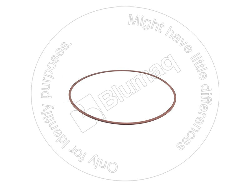 2383303 - RING - MXPseal.com