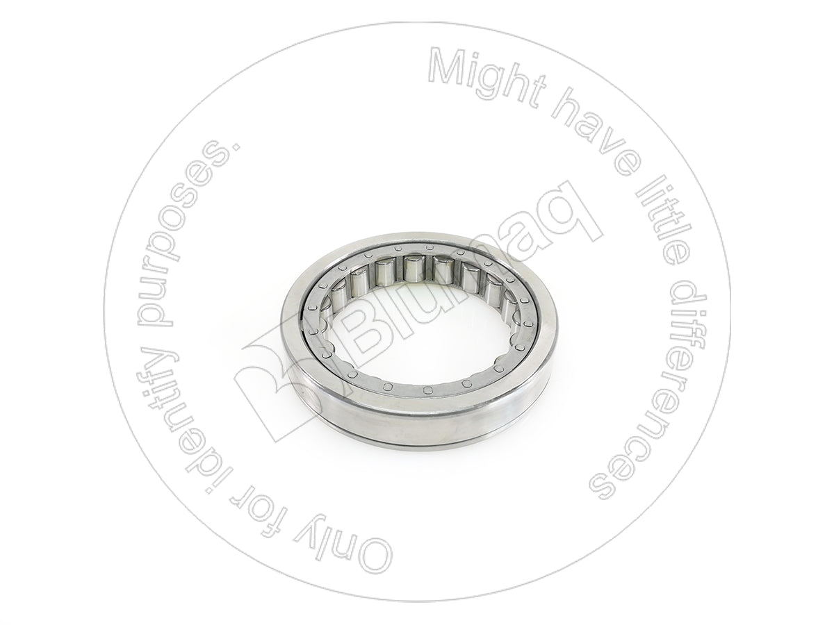 2500839 - BEARING