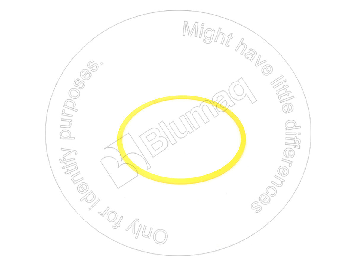 2892938 - SEAL RING