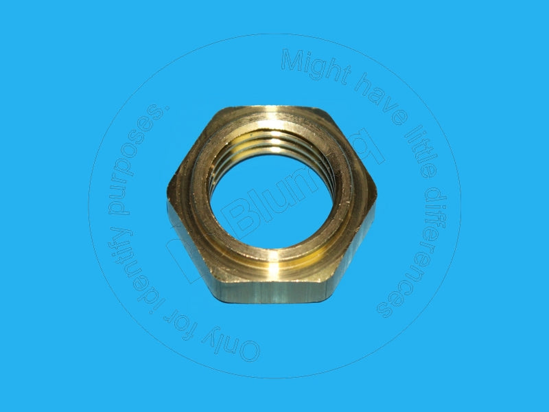 2D2509 - NUT