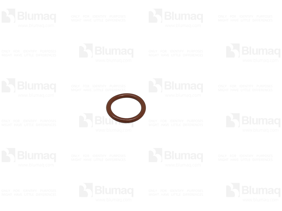 2T2695 - ORING
