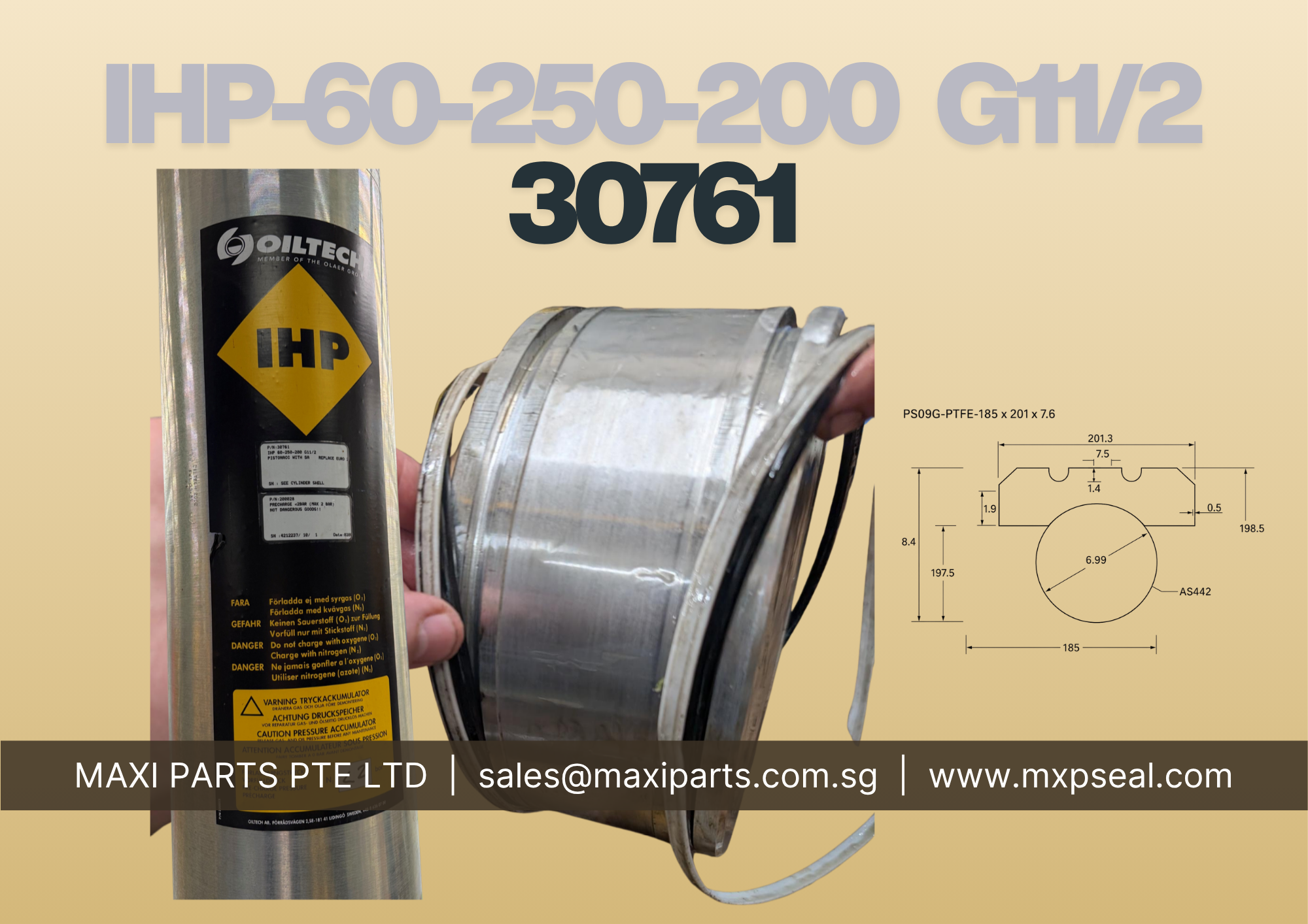30761 - IHP-60-250-200 G11/2 - CUSTOM MAKE SEAL KIT