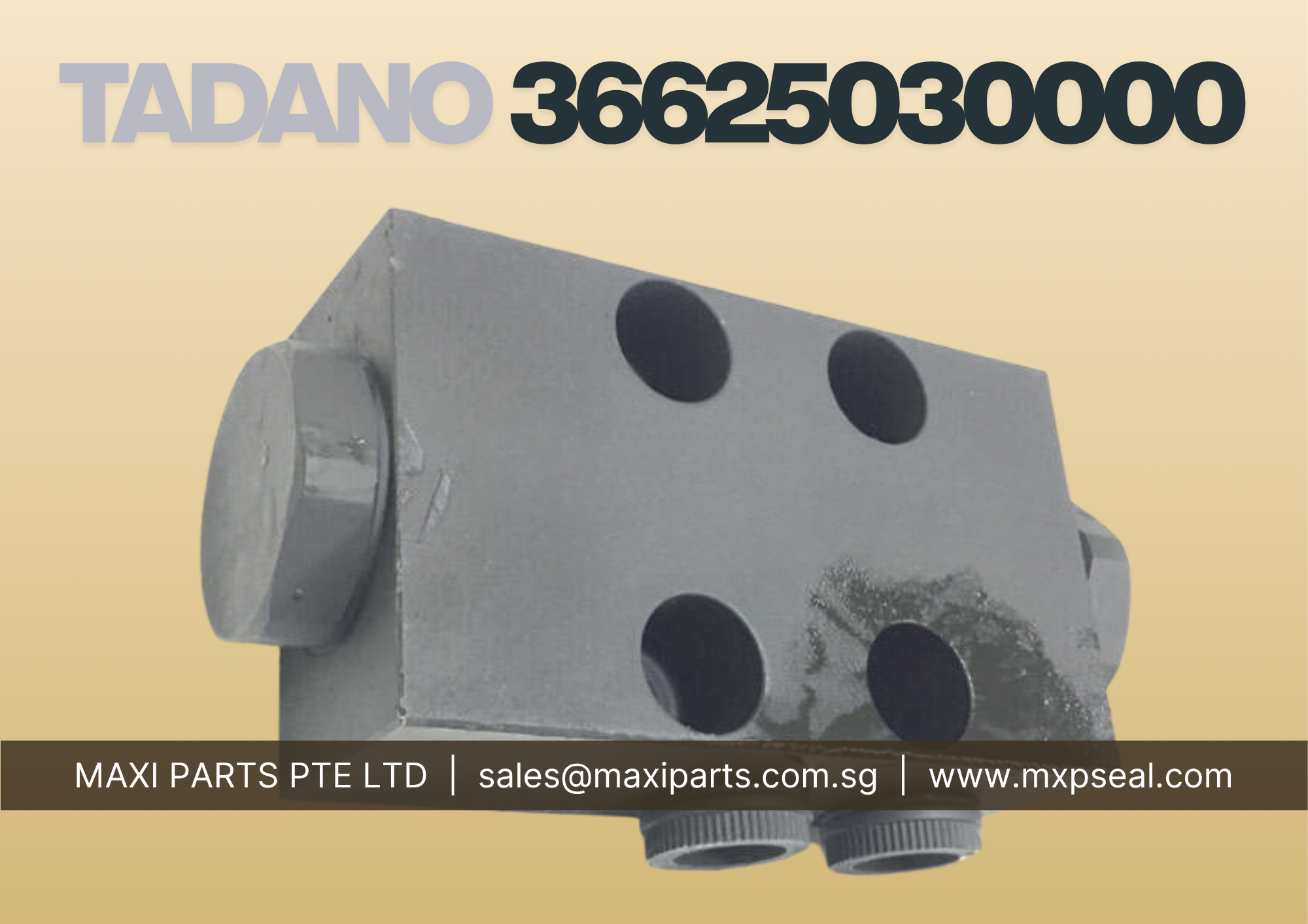 36625030000 - CHECK VALVE