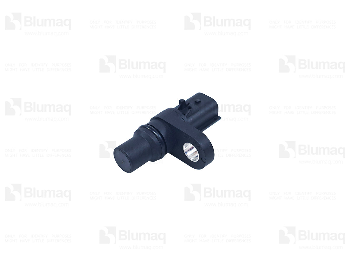 3843887 - SENSOR