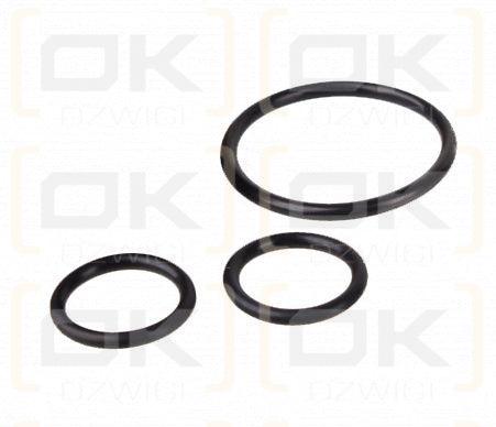 398000K805X - SEAL KIT - MXPseal.com