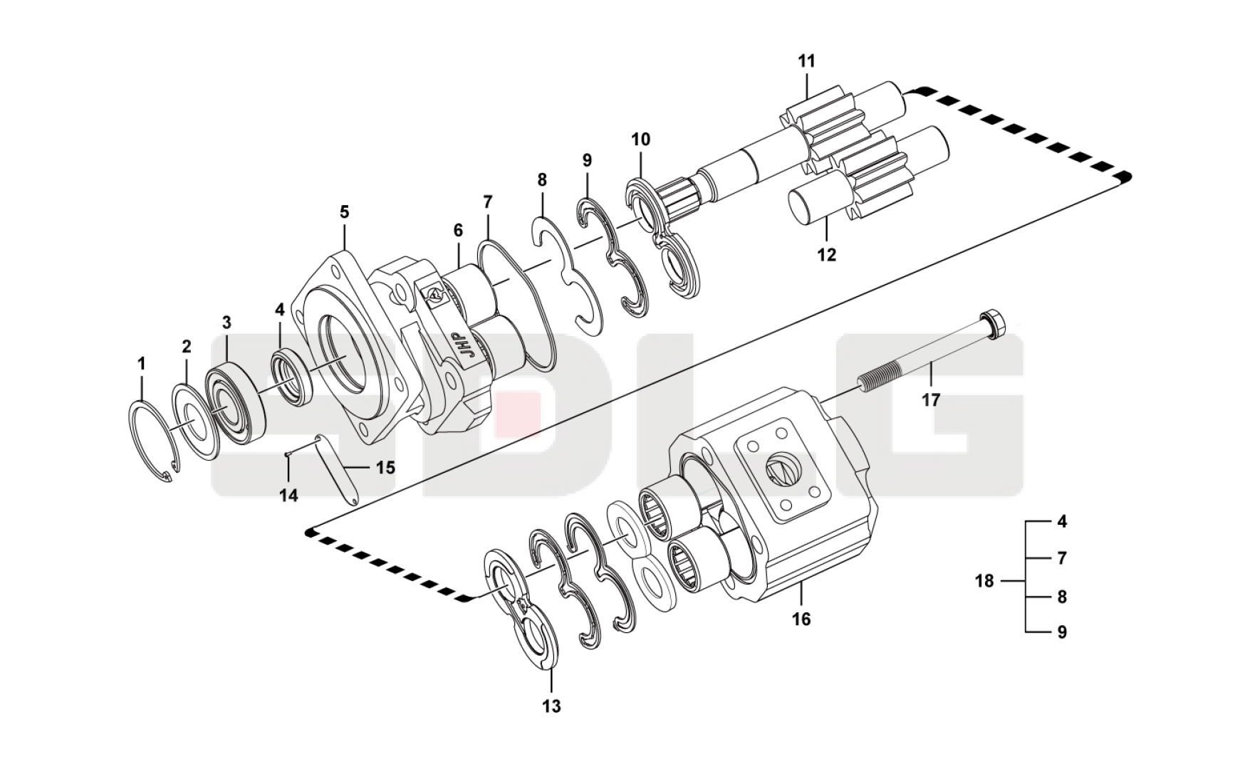 4120004039013 - GEAR PUMP KIT