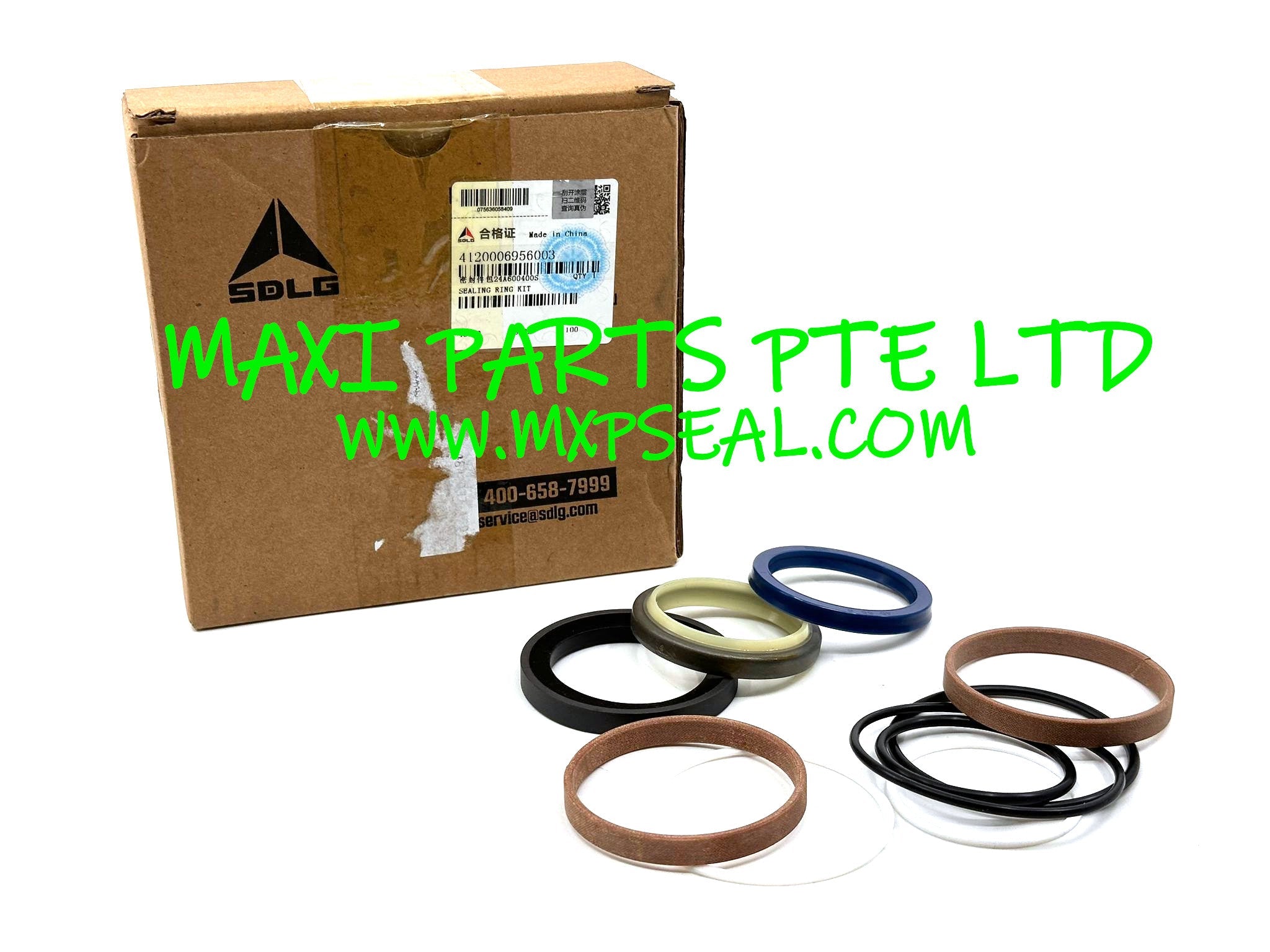 4120006956003 - SEAL KIT (G9138)