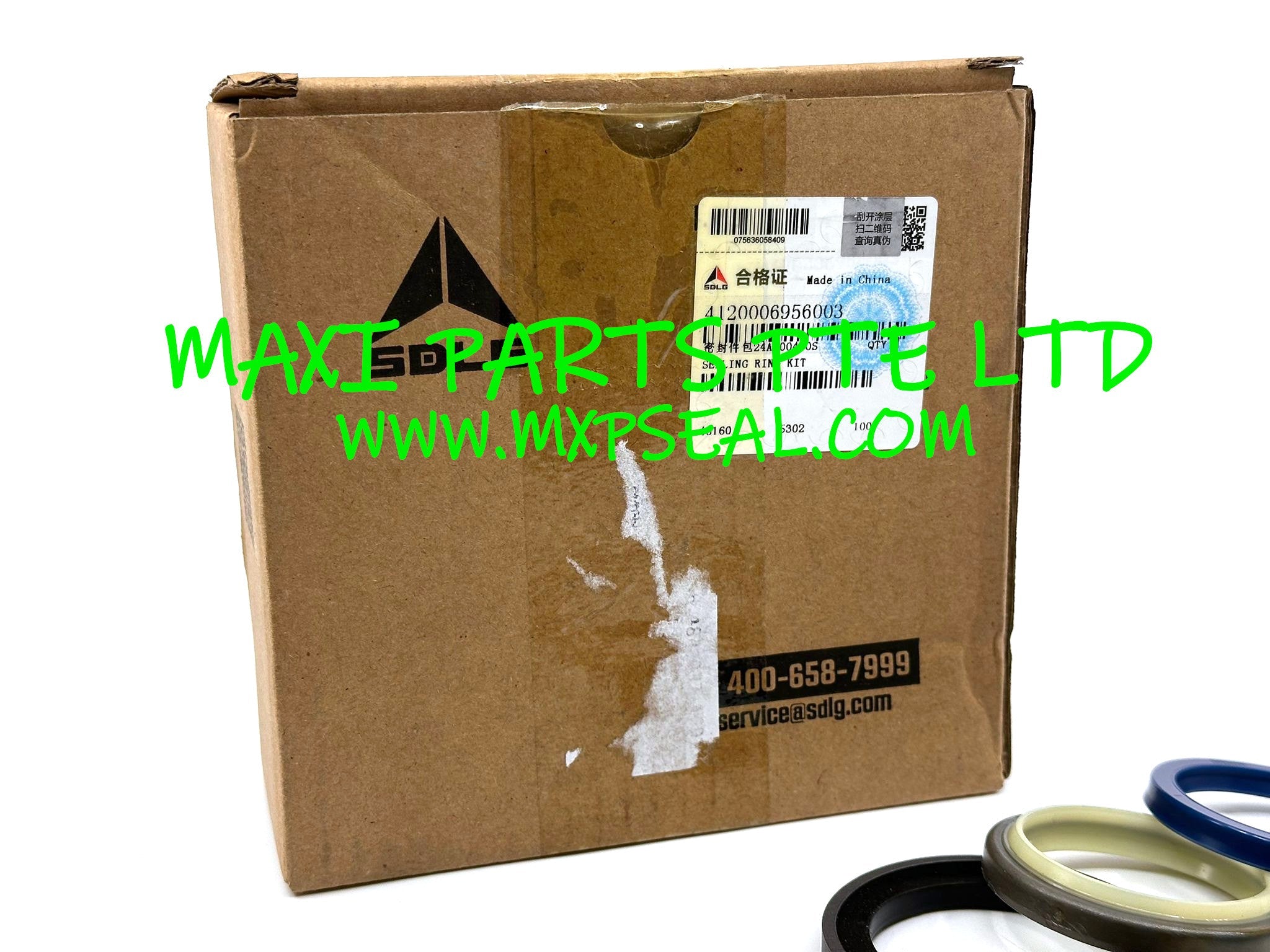 4120006956003 - SEAL KIT (G9138)