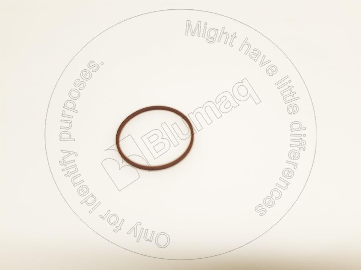 419-15-12121 - SEAL RING (GENUINE) - MXPseal.com