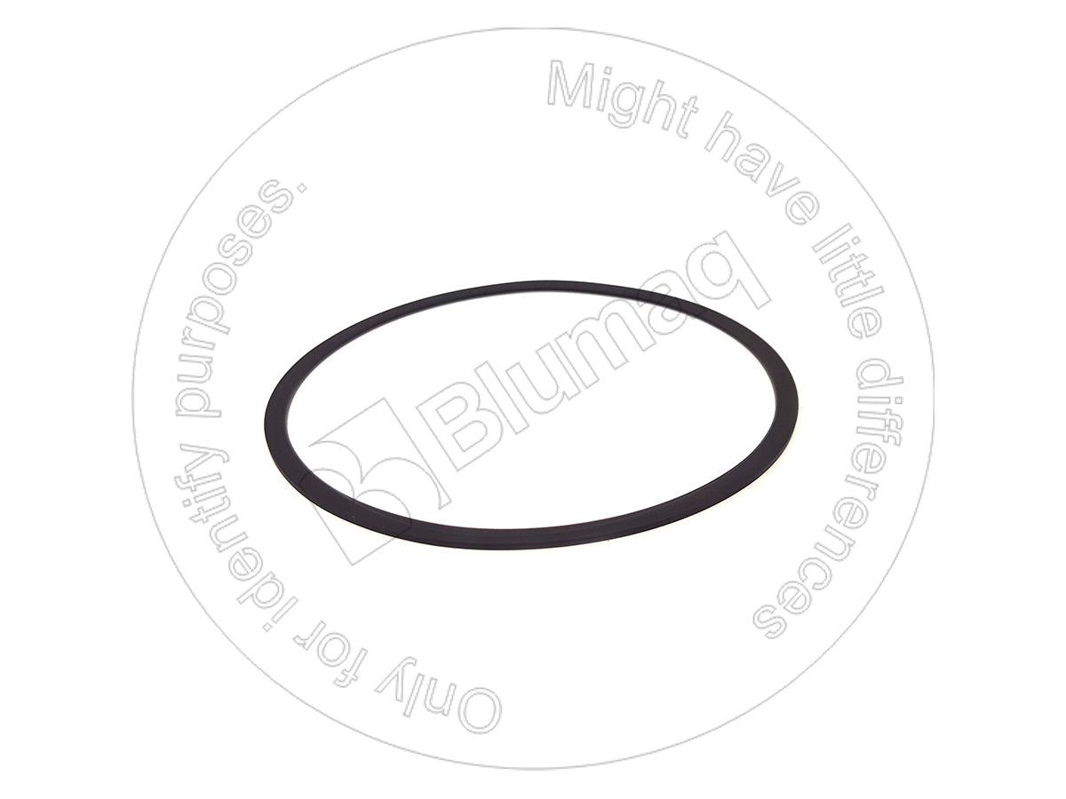 419-15-12580 - SEAL RING - MXPseal.com