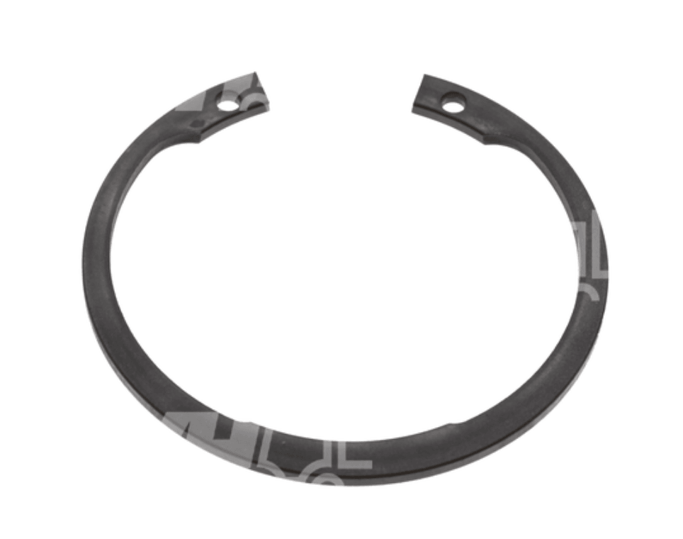 4281010 - RETAINING RING - MXPseal.com