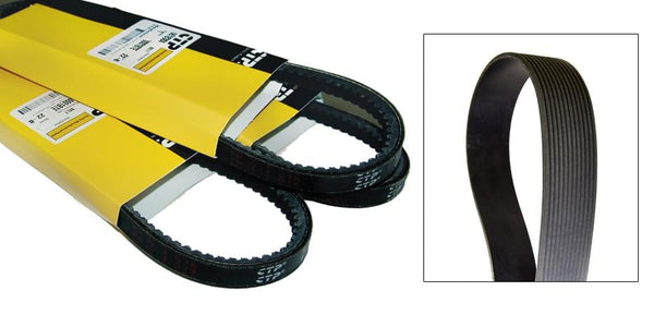 1892216 - VAN BELT - MXPseal.com