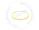 4789996 - SEAL RING - MXPseal.com