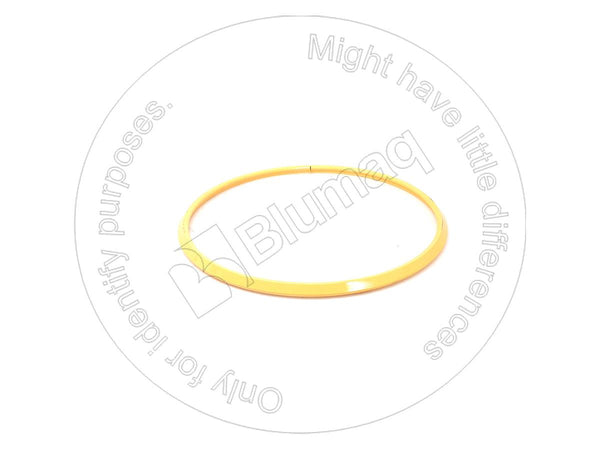 4789996 - SEAL RING - MXPseal.com