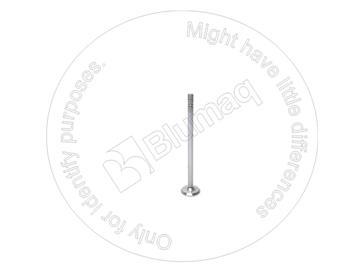 4901721 - EXHAUST VALVE - MXPseal.com