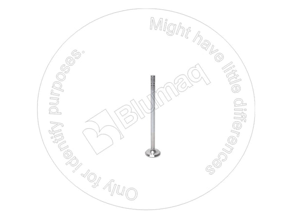 4901721 - EXHAUST VALVE - MXPseal.com