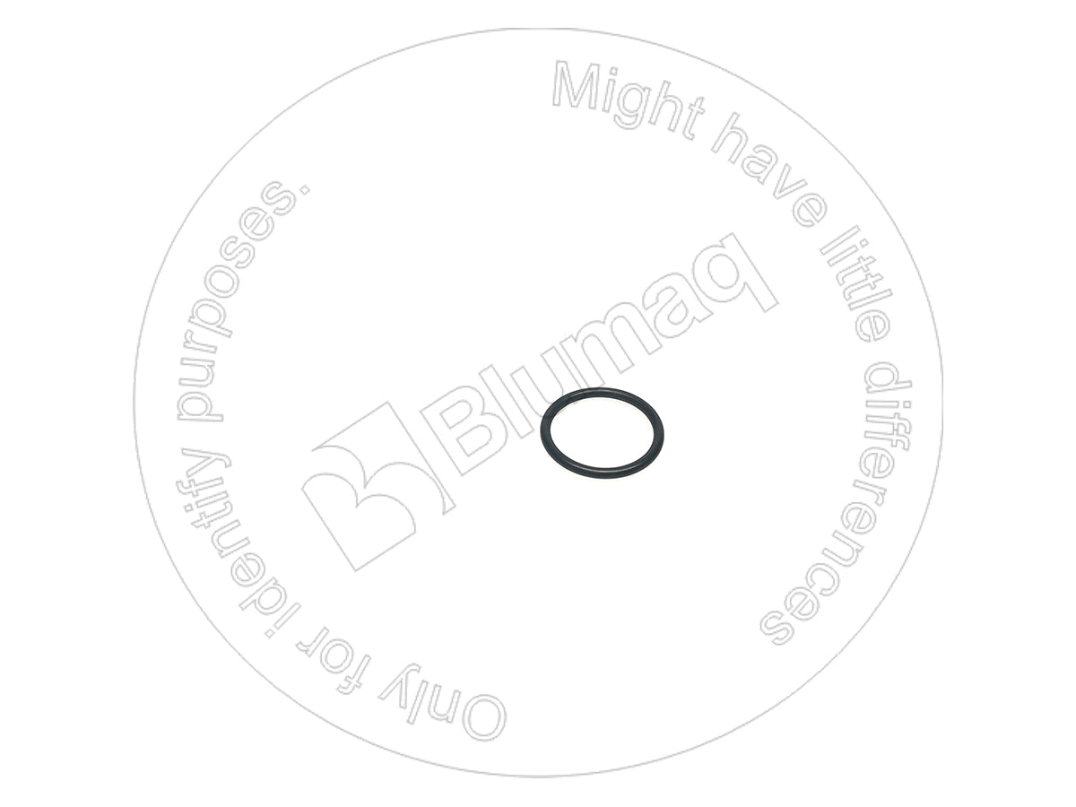 4F7391 - ORING