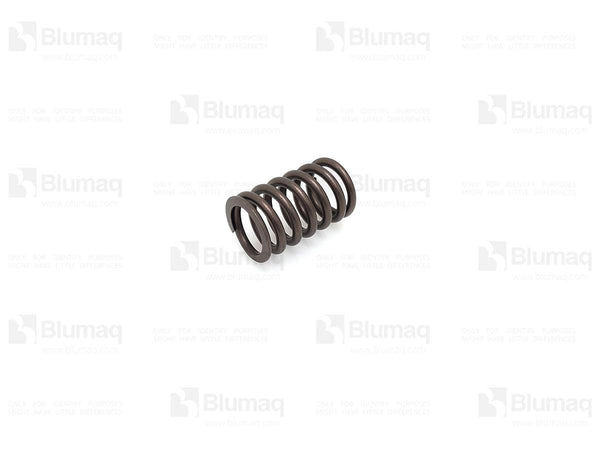 4W2471 - VALVE SPRING - MXPseal.com