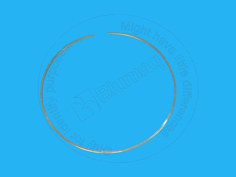 569-15-39210 - SEAL RING - MXPseal.com