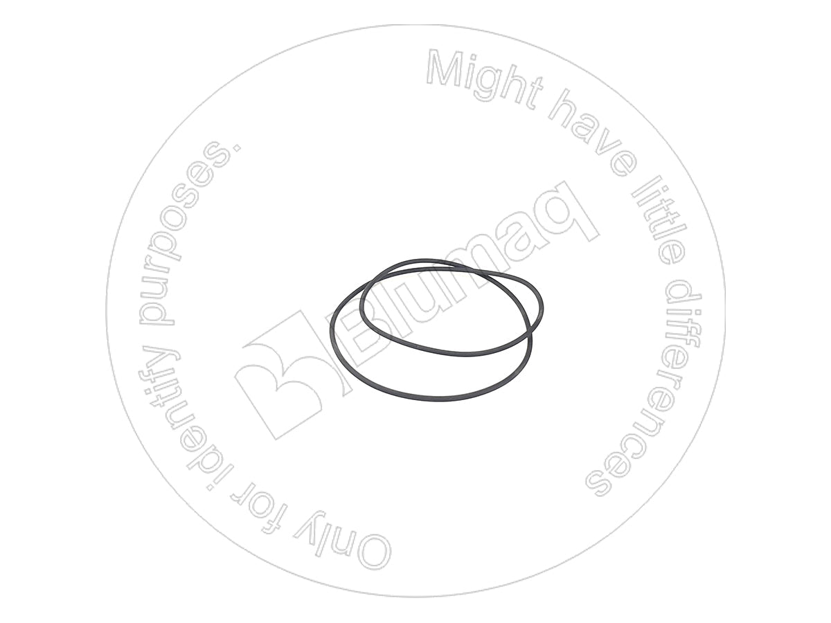 58974155 - ORING