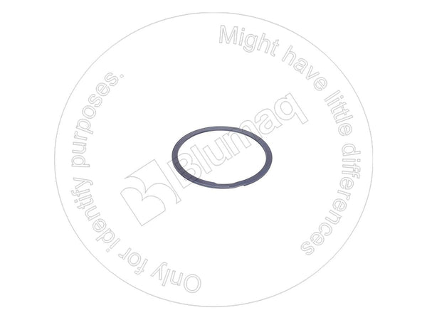 5P8472 - SEAL RING - MXPseal.com