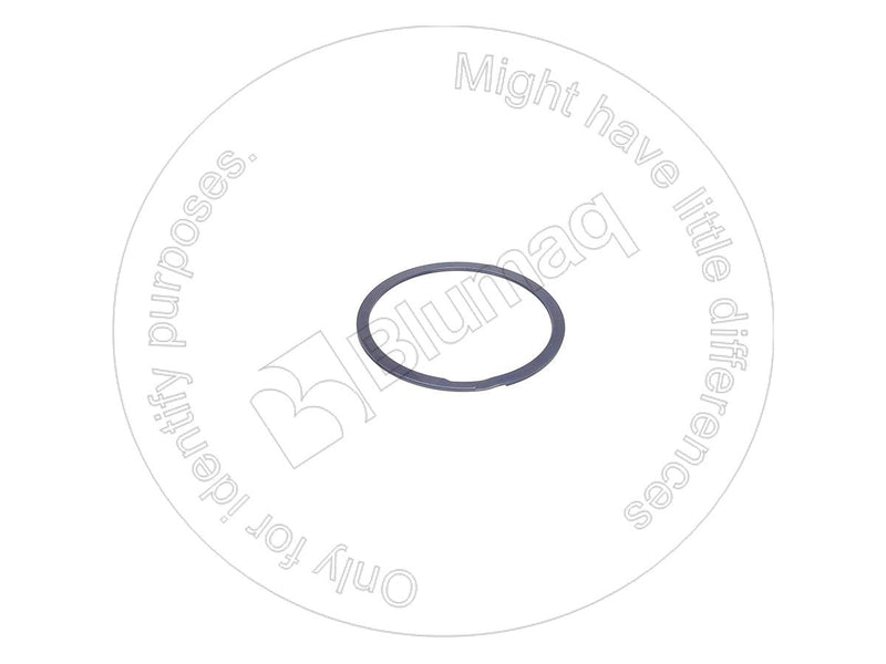 5P8472 - SEAL RING - MXPseal.com