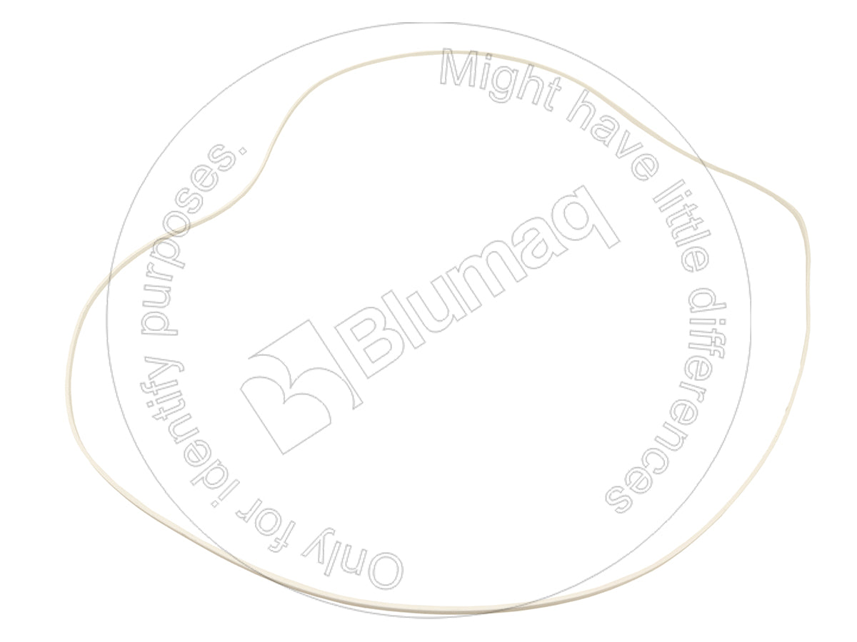 5P5010 - SEAL (BLUMAQ)
