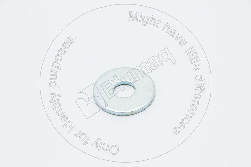 60114321 - WASHER - MXPseal.com