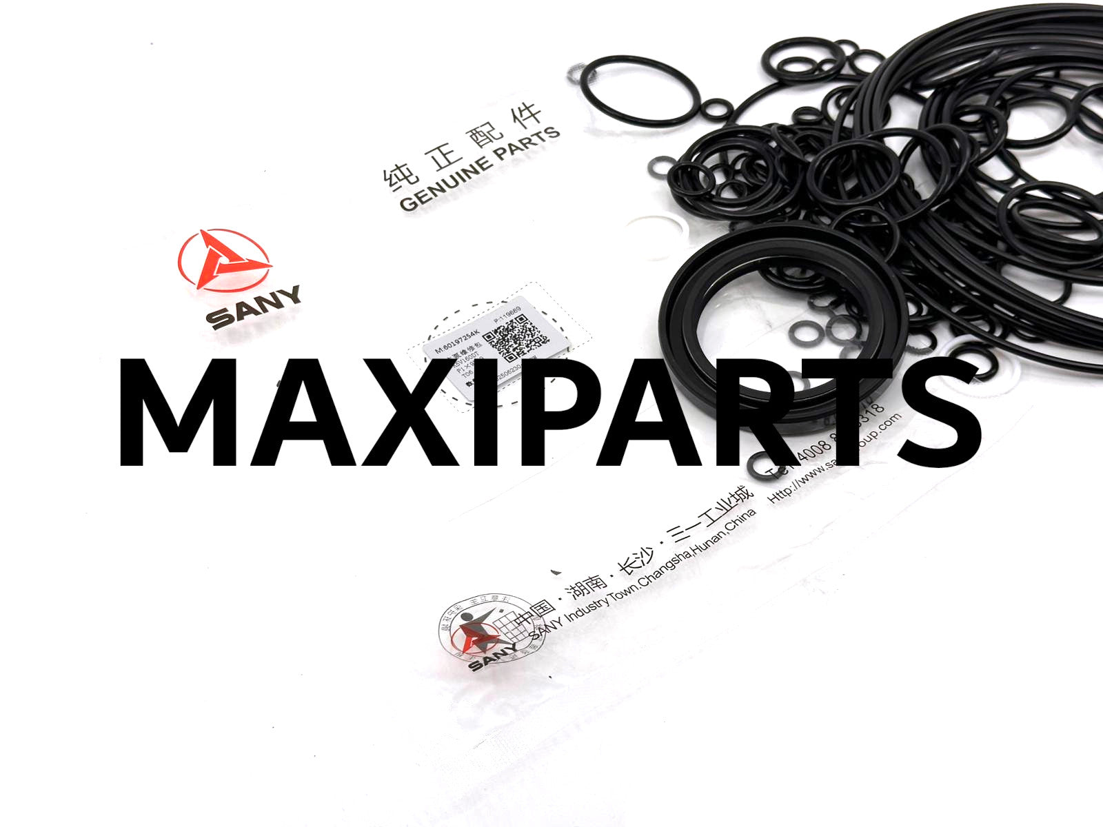 60319638 - MAIN PUMP KIT