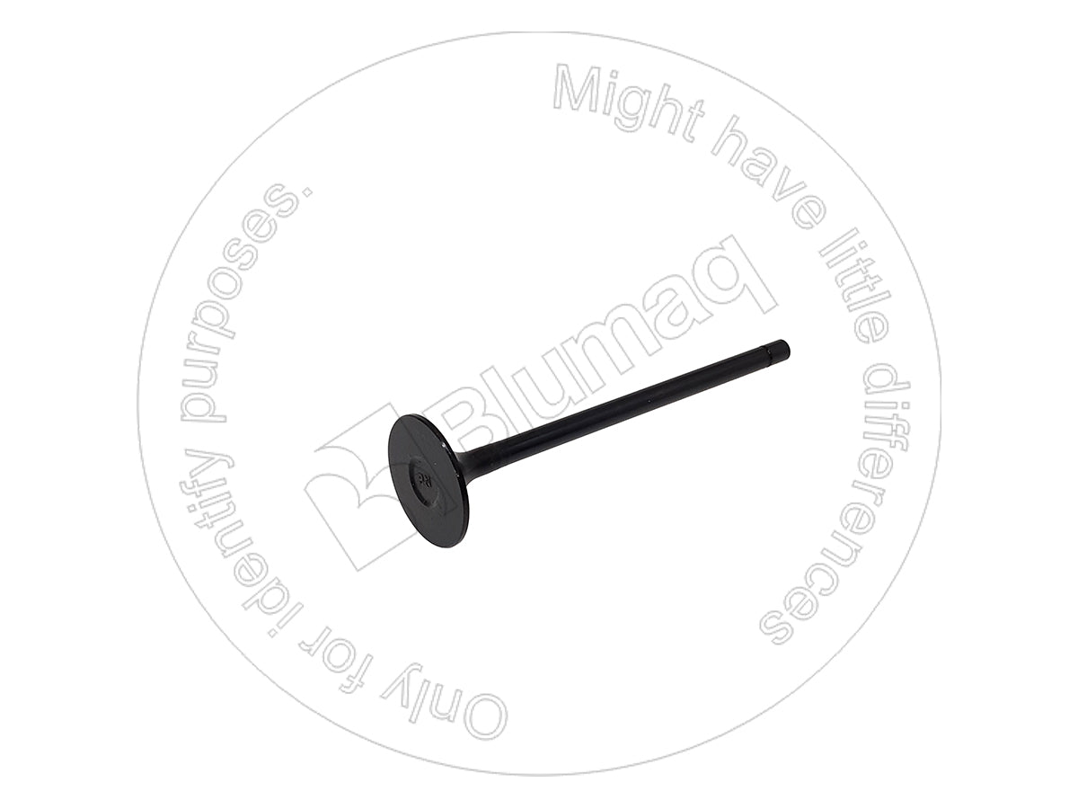 6150-42-4110 - INTAKE VALVE