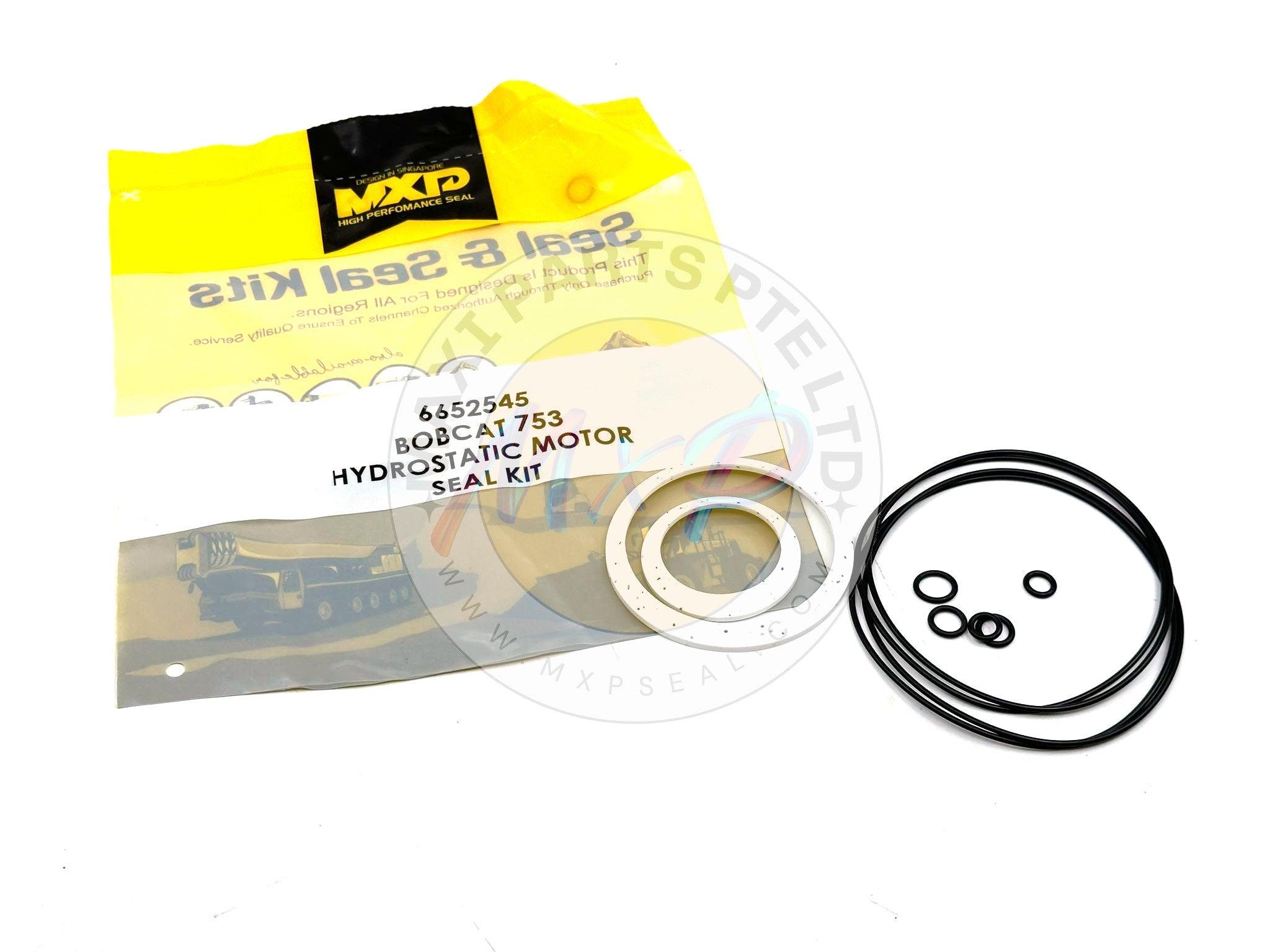 6652545 - HYDROSTATIC KIT