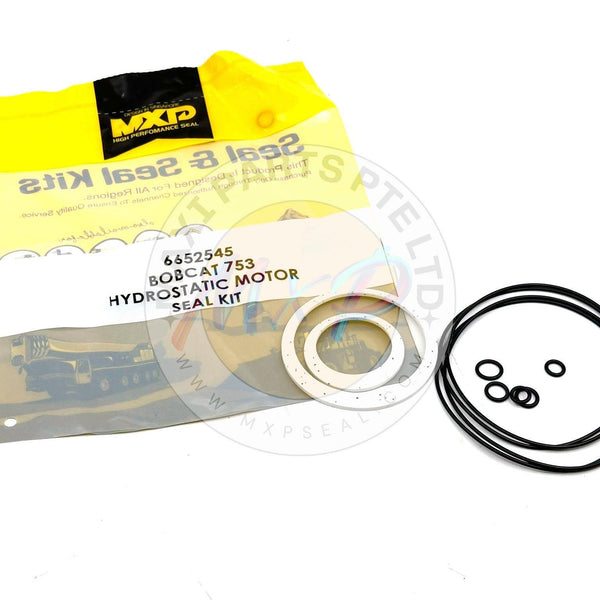 6652545 - HYDROSTATIC KIT