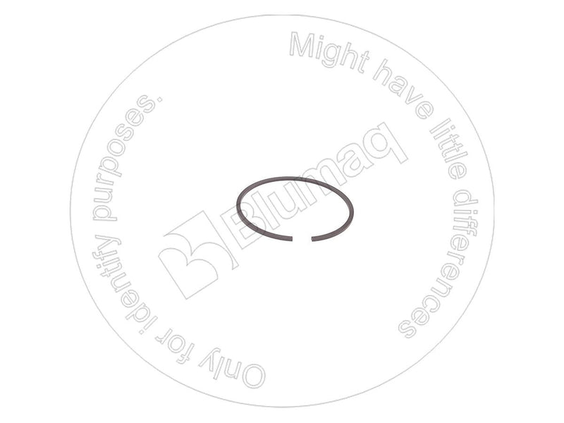 6N0009 - RING - MXPseal.com