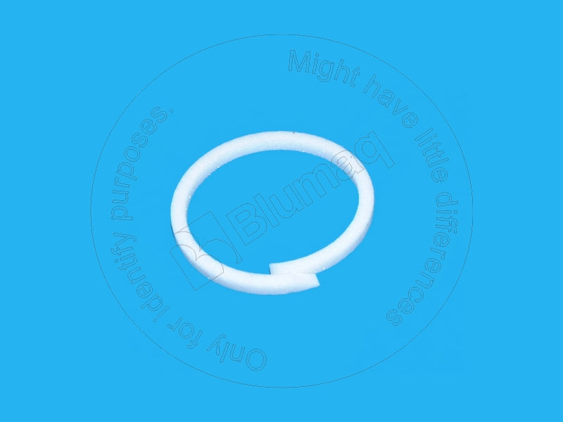 6E0770 - BACK UP RING